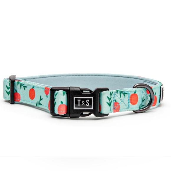 2 /$15 New Tella & Stella Designer Dog Collar Peach 🍑 Size Large - Picture 1 of 8